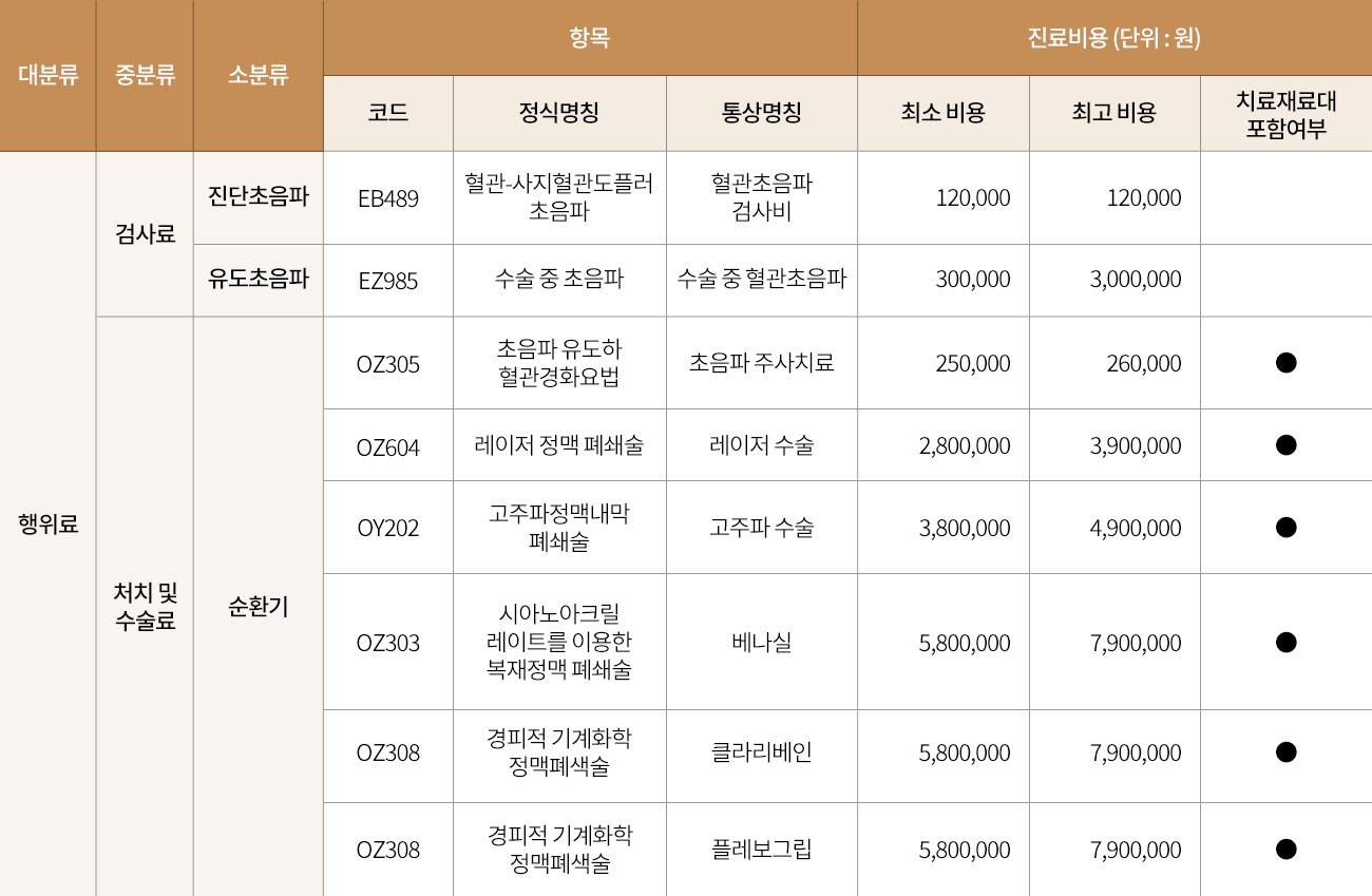 비급여항목_PC